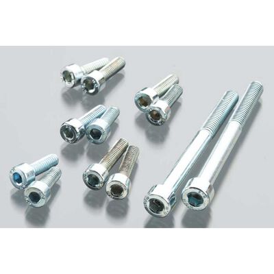 DLE20RA Screw Set