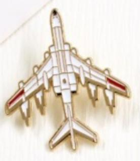 Metal Airplane Lapel Pin D111