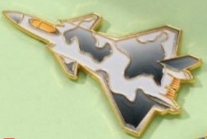 Metal Airplane Lapel Pin D121